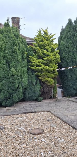 Coming Soon - 3 bedroom house for rent - Normandy Road - Photo 1