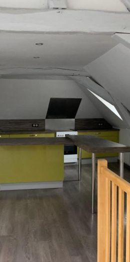 Appartement à louer, 2 pièces - Bouchemaine 49080 - Photo 1