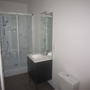 Location Appartement 1 pièce 35m² CHARLIEU 42190 - Photo 3