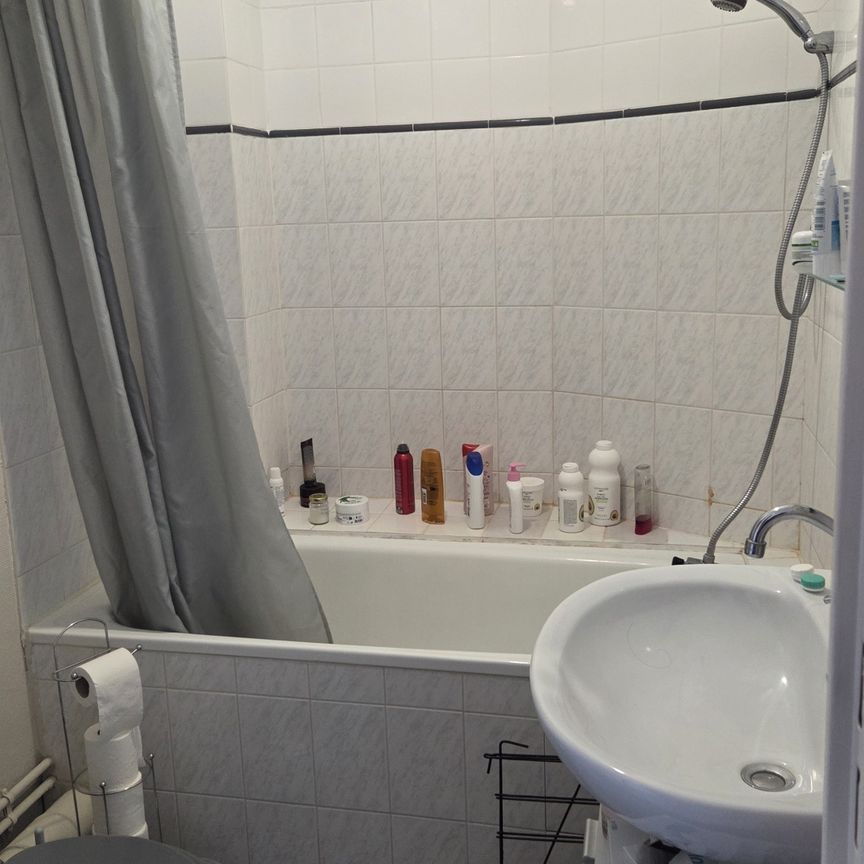 Location Appartement 1 pièce 20m² CLERMONT FERRAND 63000 - Photo 1