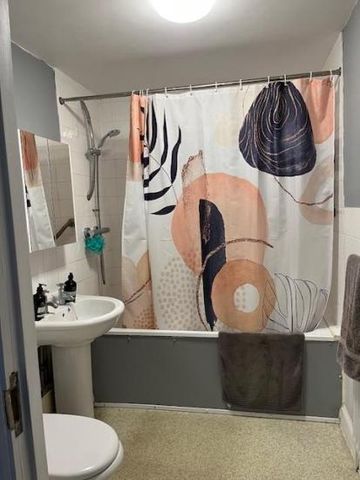 Spacious Double room in 2 bedroom flat in Peckham - Photo 3