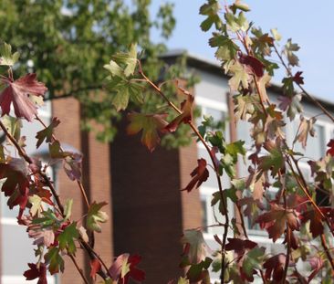 Rimsmedsvägen, Kalmar - Foto 5