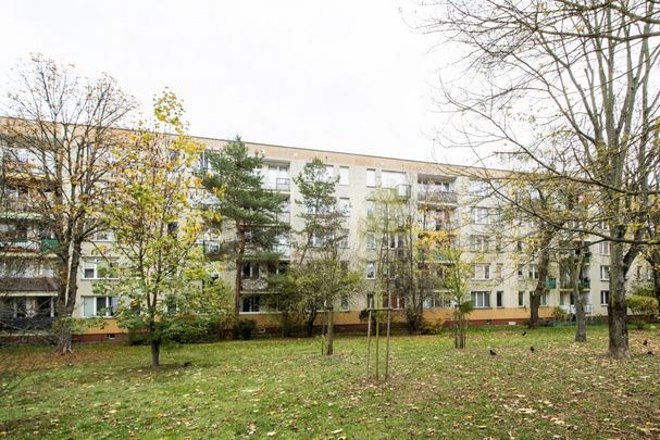 TAK dla ZWIERZĄT, 3 oddzielne pok, widna kuchnia - Фото 1