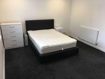 Cathays Terrace, Cathays, CF24 - Photo 5