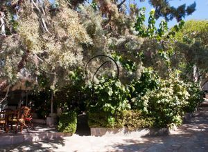 Μονοκατοικία για ενοικίαση - Καλύβια Θορικού, - Photo 4