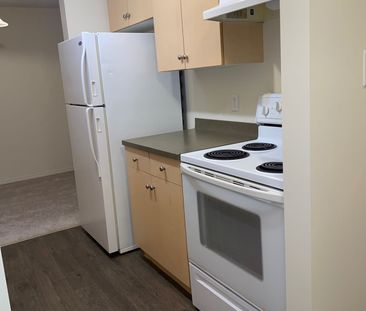 Apartment in Glanstobury with Great Incentive and Pet Friendly ! - Photo 5