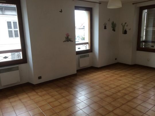 Location Appartement 2 pièces 48m² SALLANCHES 74700 - Photo 1