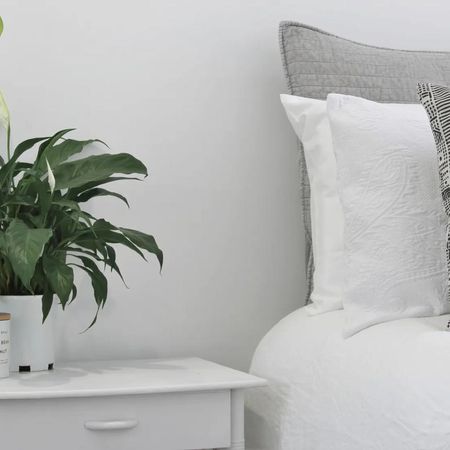 Tweed Heads South Gem! - Photo 5