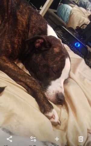 Mannering Park - Photo 4