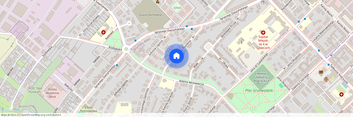 ul. Aleksandra Puszkina, Wójtowa Wieś, Gliwice, śląskie