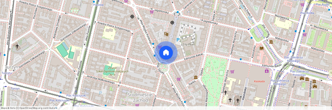 Księcia Bogusława X, CENTRUM, SZCZECIN, ZACHODNIOPOMORSKIE