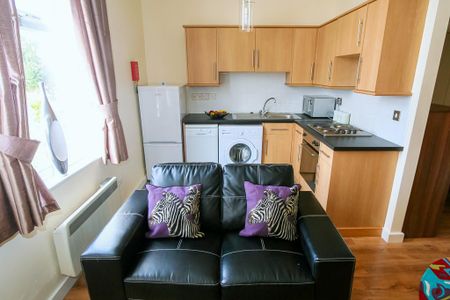 1 bedroom flat to rent - Photo 3