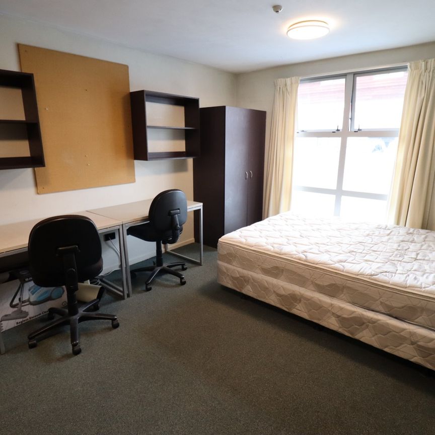 Studio Apartment in Te Aro - Photo 1