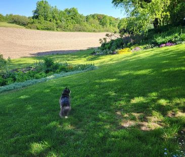 For Lease - 8329 10 Side Road, Halton Hills, Ontario - Photo 3