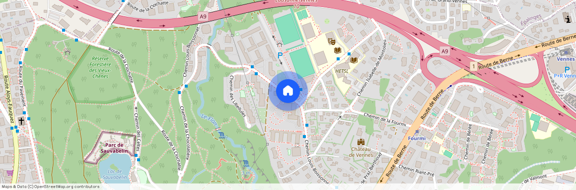 1010, LAUSANNE, Chemin De Boissonnet