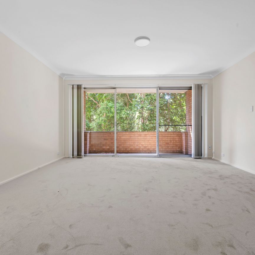 15/41-43 Milray Avenue, Wollstonecraft NSW 2065 - Apartment For Rent | Domain - Photo 1