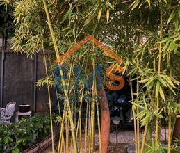 Μονοκατοικία για ενοικίαση - Άνω Πατήσια, - Photo 4