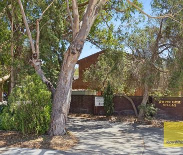 Fully Furnished 2x1 Townhome with a rear Bali-Style Sanctuary - Photo 3