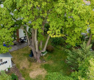 For Lease - 258 Reynolds Street, Oakville, Ontario - Photo 6