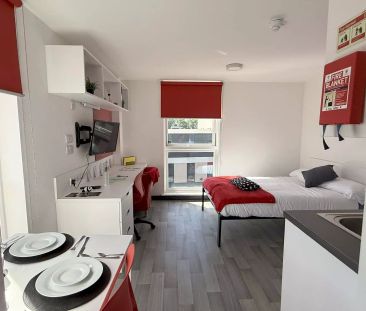 Budget Ensuite - Photo 5