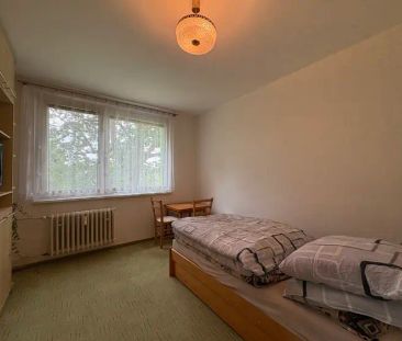 Pronájem, byt 2+1, Zábřeh - Photo 1