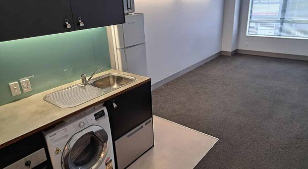 Chic Te Aro Studio Apt with Lift Access - Photo 1