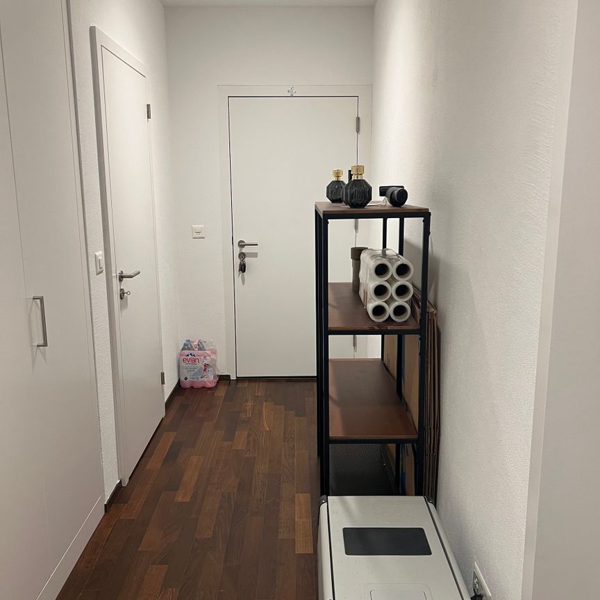 Moderne Wohnung zur Miete in Stetten SH. - Foto 1