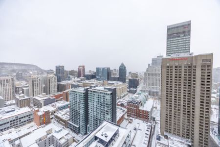 Appartement à louer - Montréal (Ville-Marie) (Centre) Appartement à louer - Montréal (Ville-Marie) (Centre) - Photo 3