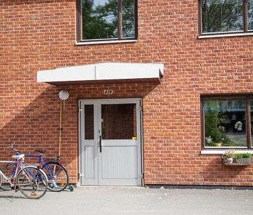 Ankarskatavägen 82 A, 94164, Piteå - Photo 5