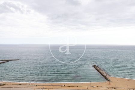 Apartment for Rent in Illa de la Llum - Photo 4