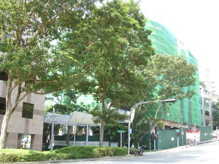 One Oxley Rise (D9), Apartment - For Rent - Photo 5