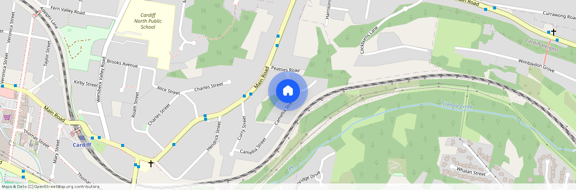 32 Camellia Street, NSW 2285, Cardiff