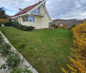 DE ÎNCHIRIAT – CASĂ TIP DUPLEX | PIPERA – PĂDUREA MATEI MILLO - Photo 2
