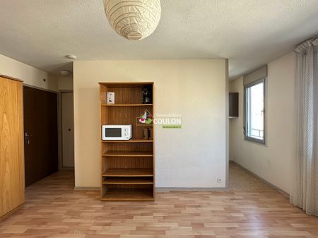 Appartement meublé - 1 pièce - Jardin Lecoq/Facultés - Photo 2