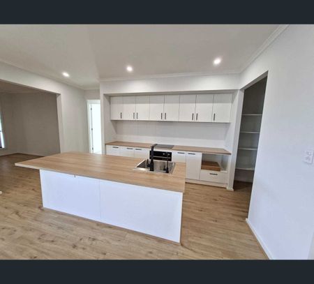 8 Phoenix Avenue, Riverlea Park, SA 5120 - Photo 5