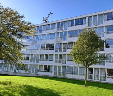 Appartement de 3 pièces Jan Bijhouwerstraat, Purmerend - À louer - Photo 6