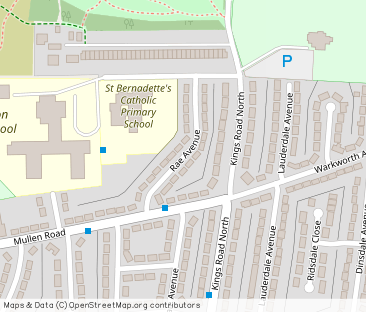 Rae Avenue, Wallsend - Photo 1