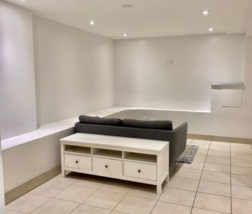 For Lease - 325 Willard Avenue Unit# Lower, Toronto, Ontario - Photo 6