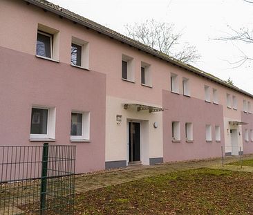 Schöne EG-Wohnung mit Terrassenzugang - Photo 1