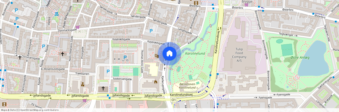 Kjellerupsgade 29, st., 9000 Aalborg