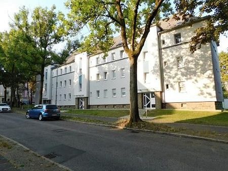 Vogelnest in schöner Lage: 2-Zimmer-Wohnung in Stadtlage - Photo 2