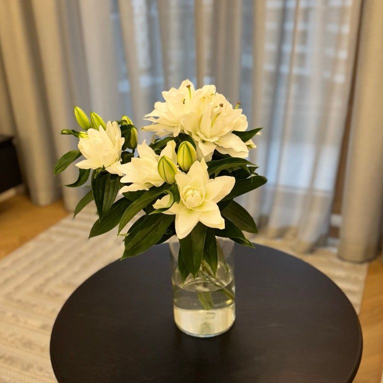 Warszawa, Włochy, Raków, Wschodu Słońca - Photo 1