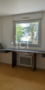 Location Appartement 1 pièce 17m² - Photo 3