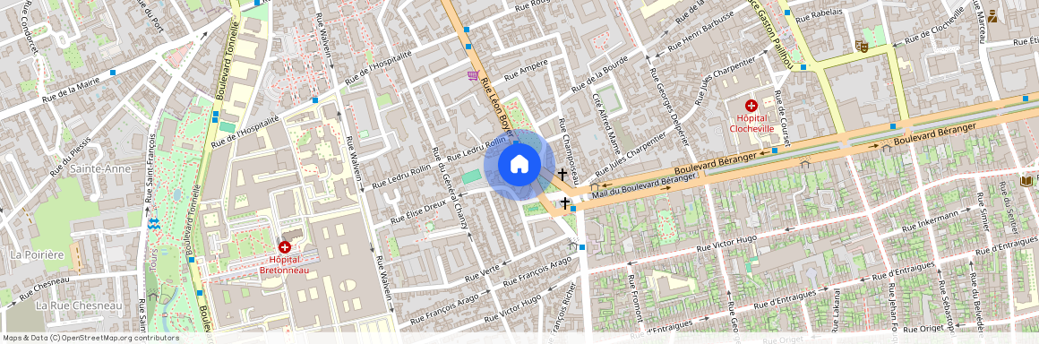 67 RUE LEON BOYER, 37000 TOURS