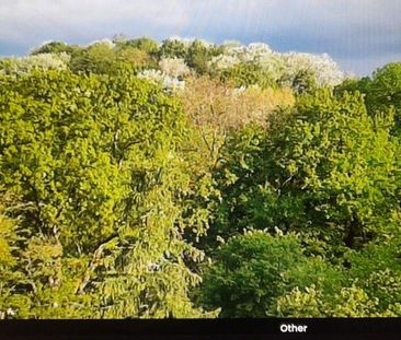 2 Zi Dachgeschoss zum Park 72qm - Photo 1