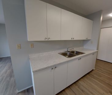 Fully Renovated Pet Friendly Unit - Photo 6