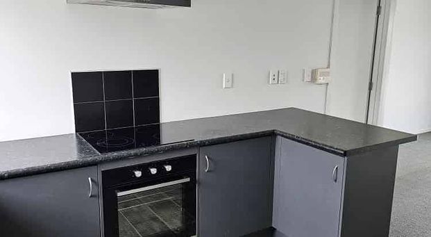 NO LAWNS, NEWLY RENOVATED PROPERTY - Photo 1