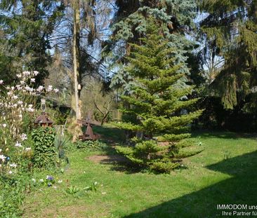 Sehr gepflegte 2,5-Zimmer-Dachwohnung mit BALKON und hochwertiger E... - Photo 4