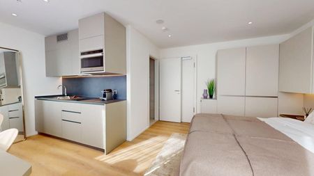 Renovated studio, close to Nations, Palexpo and Geneva airport - Photo 3