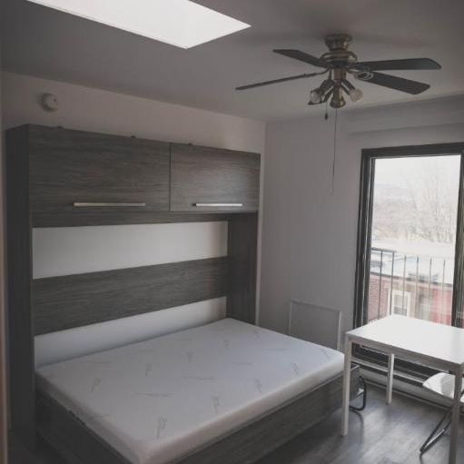 1 1/2 - Montréal (La Petite-Patrie) - 850 $/mois - Photo 1